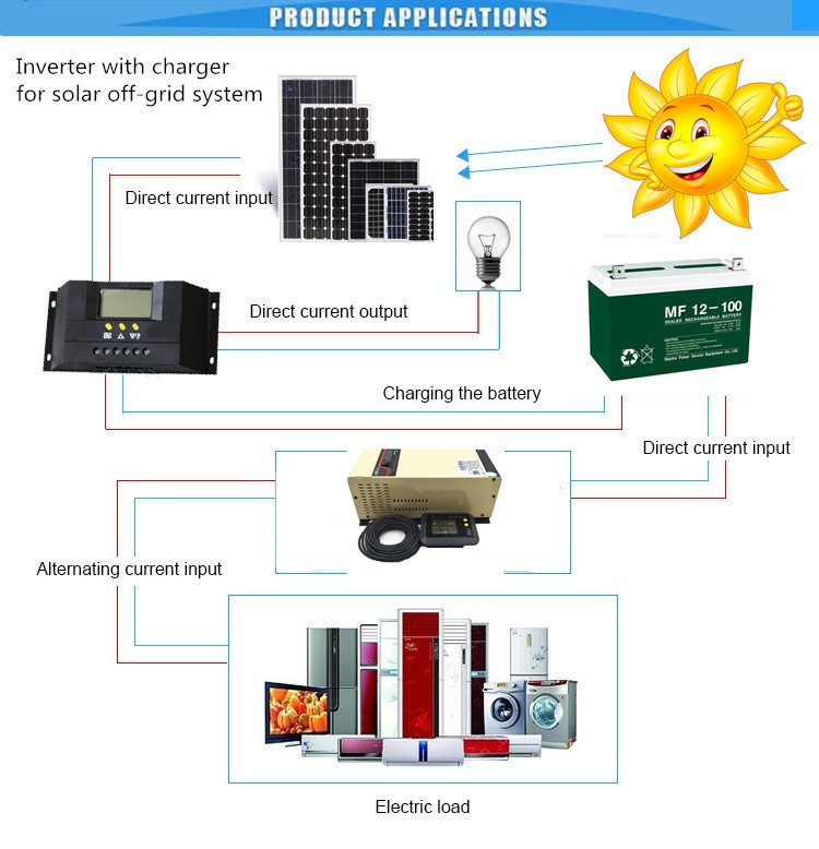 Low frequency 800w 12v 24v 48v dc to 110v 120v 220v 230v ac 800 watts pure sine wave inverter with charger for caravan ambulance home use